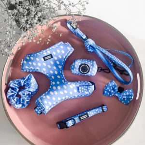 Polka Pups Set (Blue) by iWoofYouBoutique