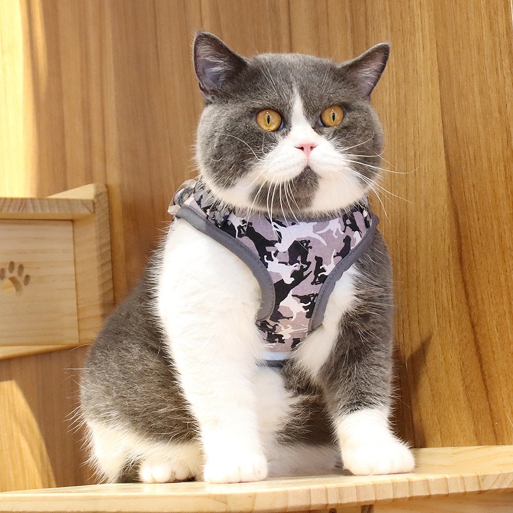 Reflective And Breathable Cat Harness Printed Dog Leash - Image 2