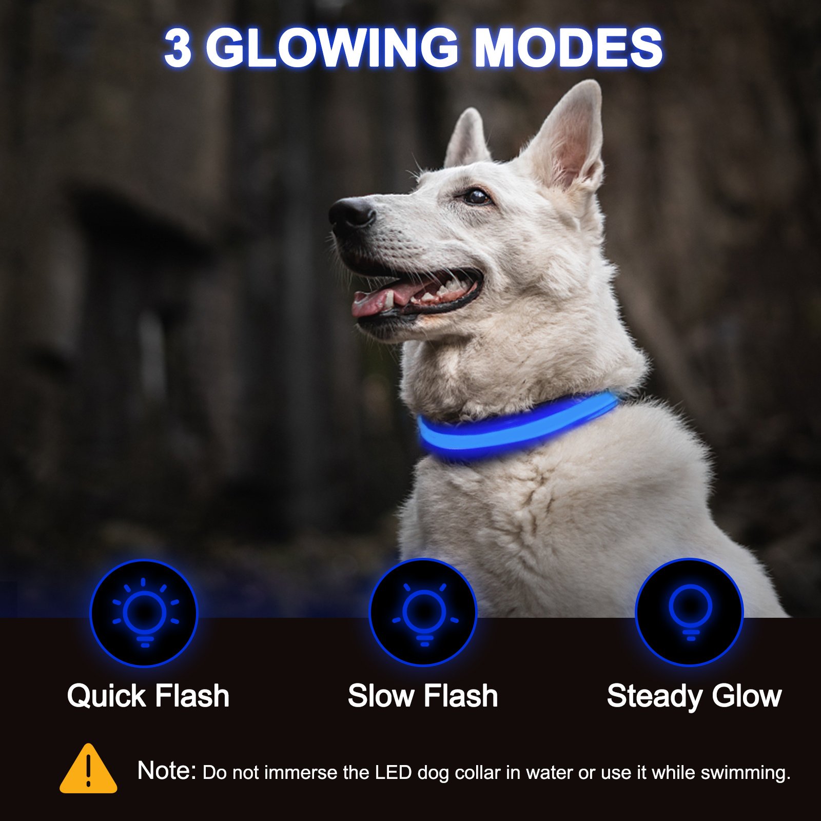 Rechargeable LED Dog Collar Adjustable Light-Up Collar with 3 Flash Modes for Night Walks, USB Rechargeable, Size M - Image 6
