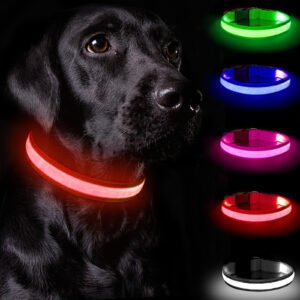 Rechargeable LED Dog Collar Adjustable Light-Up Collar with 3 Flash Modes for Night Walks, USB Rechargeable, Size M