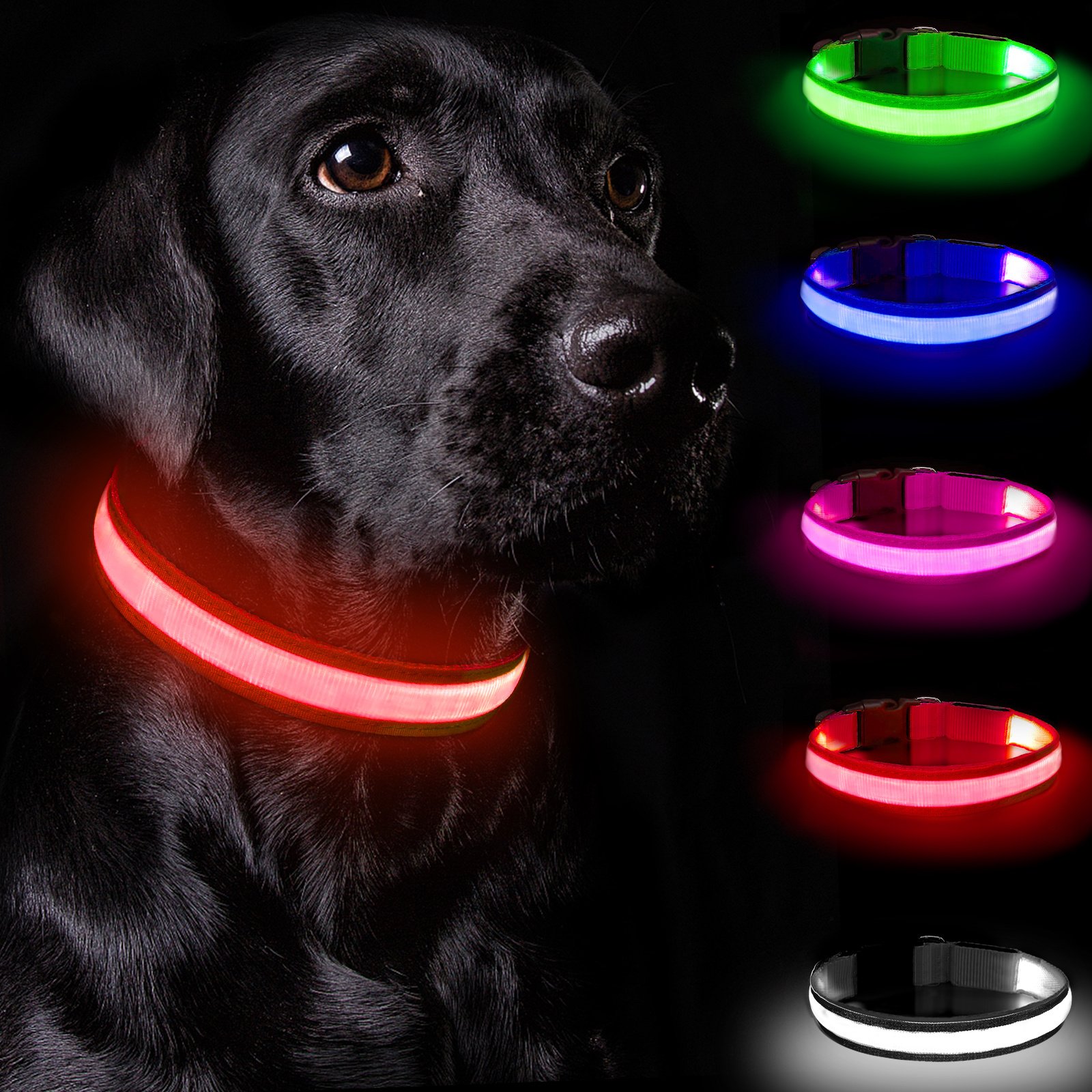 Rechargeable LED Dog Collar Adjustable Light-Up Collar with 3 Flash Modes for Night Walks, USB Rechargeable, Size M