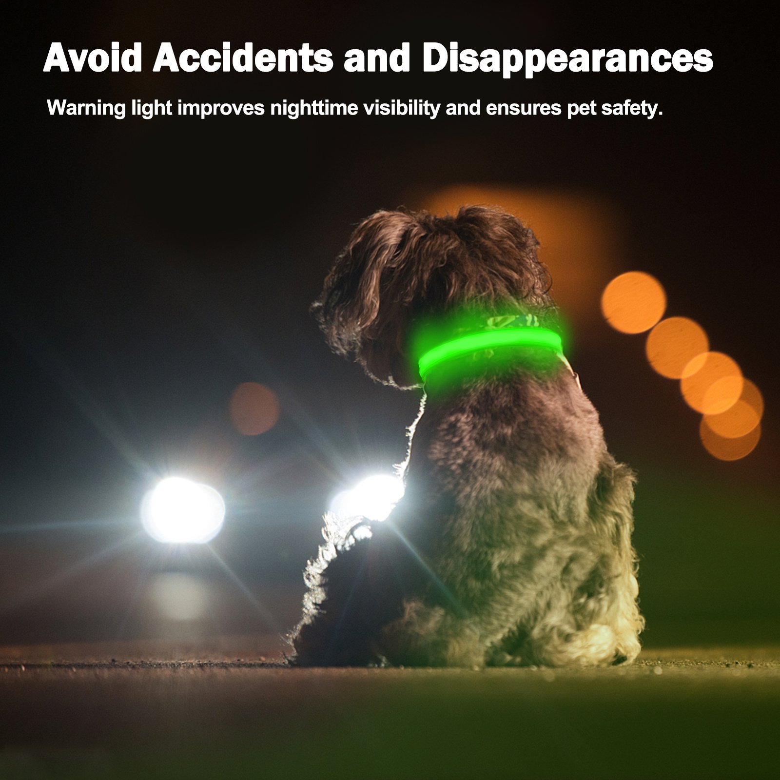 Rechargeable LED Dog Collar Adjustable Light-Up Collar with 3 Flash Modes for Night Walks, USB Rechargeable, Size M - Image 9