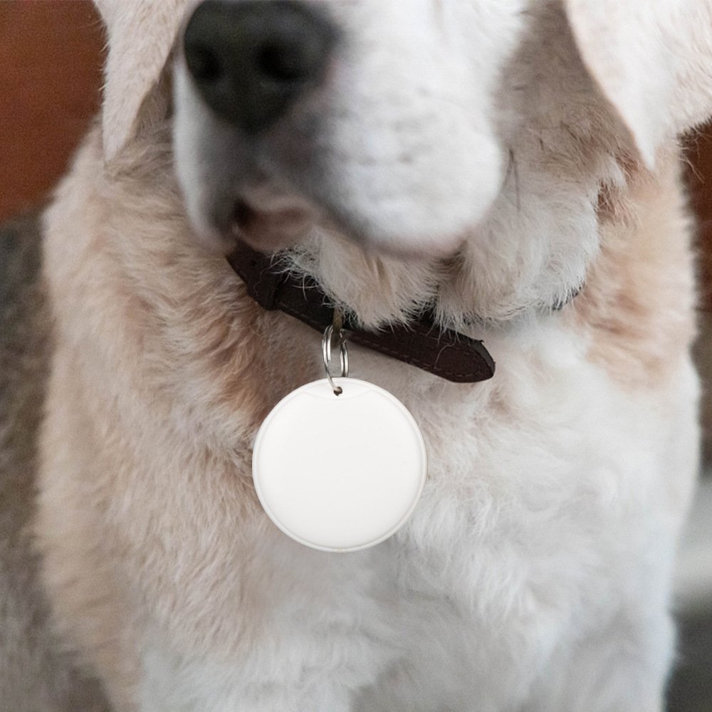 Mini GPS Tracker for Pets & Keys – Smart Anti-Lost Bluetooth Locator Tag for Dogs, Cats, Kids & Keychains - Image 6