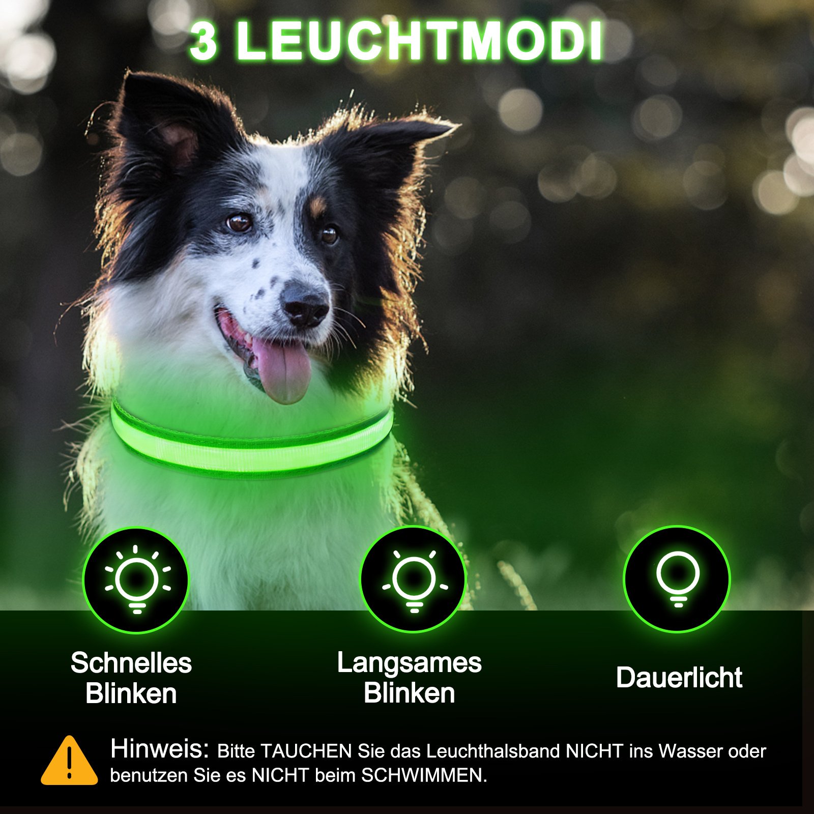 Rechargeable LED Dog Collar Adjustable Light-Up Collar with 3 Flash Modes for Night Walks, USB Rechargeable, Size M - Image 8